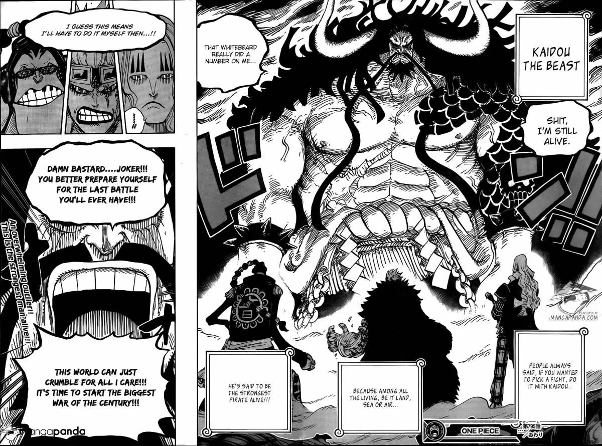 One Piece Chapter 795 16